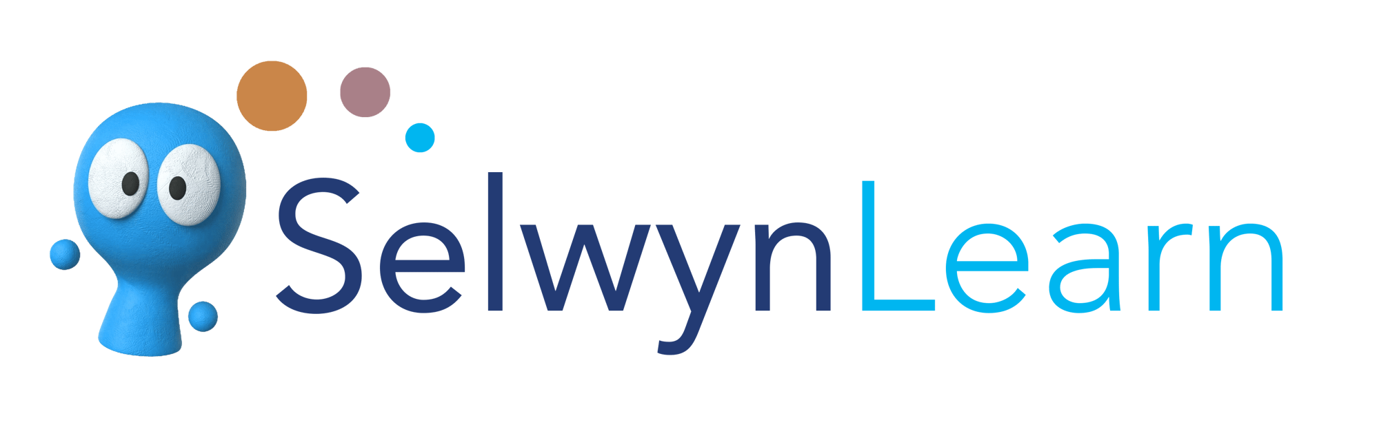 SelwynLearn Product Identity 2024 - Syd