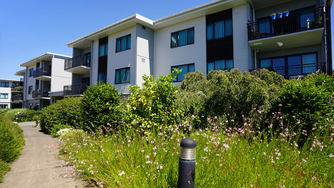 SV Website Image Template - Newman-Reid 1280 x 720 013a