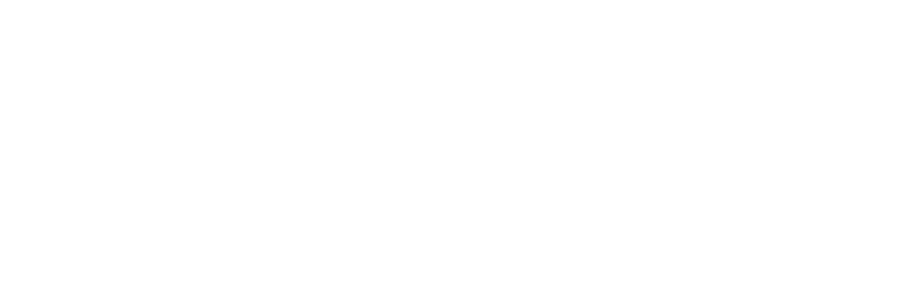 logo for the Selwyn Foundation